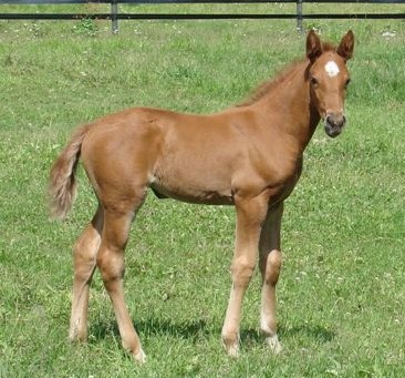 Ashirah-1 month (8)cr