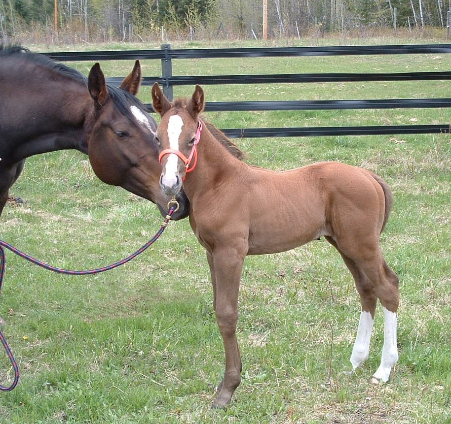 Isabella week old 007 cr