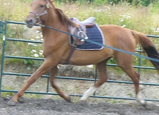 Latte July 21-07 (3) sized web Latte July 21-07 (3) sized web
