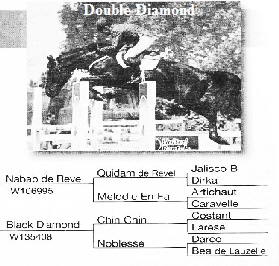 Double Diamond High B-Lite High Grain Auto-Sharp Off.jpg