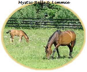 Mystic Bells-Limmie web